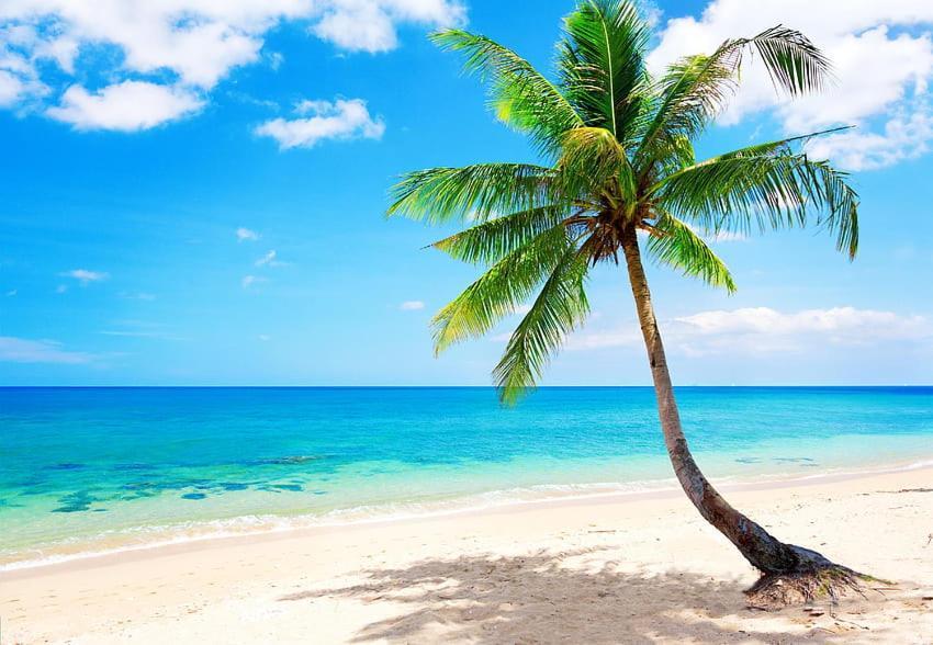 Jambo Diani 1-Bedroom Apartment Close To The Beach شاطئ دياني المظهر الخارجي الصورة